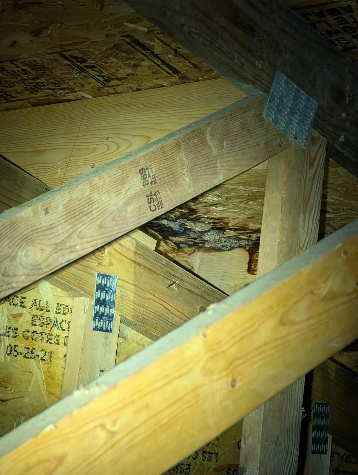 Identifying early structural issues during Northern Michigan home inspection